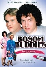 Poster for Bosom Buddies Season 1