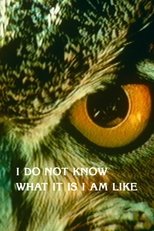 I Do Not Know What It Is I Am Like main poster