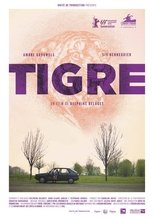 Poster for Tiger 