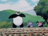 Ver La leyenda del panda online en cinecalidad