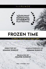 Frozen Time: What If poster