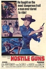 Hostile Guns (1967)