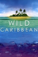 Poster for Wild Caribbean