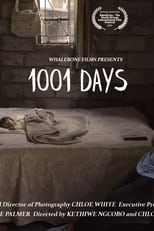 Poster for 1001 Days 