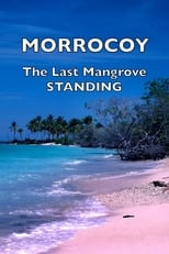 Poster for Morrocoy: The Last Mangrove Standing