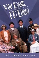 Poster for You Rang M'Lord Season 3