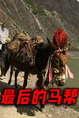 最后的马帮 (2000) poster