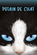 Putain de chat !