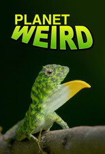 Planet Weird (2024)