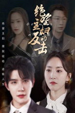 绝望主妇的反击 poster