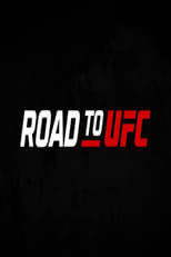 Poster for Road to UFC