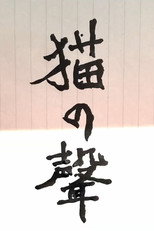 Name of The Cat poster