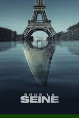 Sous la Seine poster
