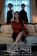 暗夜微明 poster
