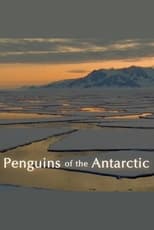 Poster for Penguins of the Antarctic