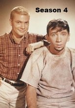 Poster for The Many Loves of Dobie Gillis Season 4