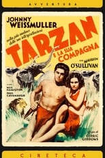 Poster di Tarzan e la compagna