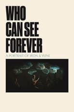 Poster for Who Can See Forever