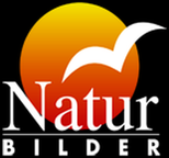 Naturbilder