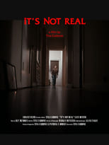 Poster for It's Not Real