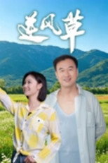 逆风草