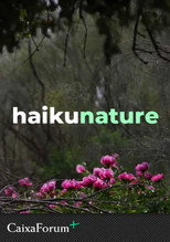 Haiku Nature poster