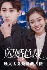 闪婚总裁顾太太是隐藏大佬 poster