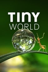 Poster for Tiny World Season 1