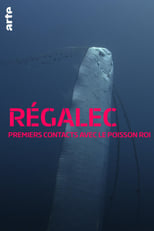 Poster for Régalec, premiers contacts avec le poisson roi 
