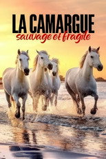 La Camargue : sauvage et fragile poster