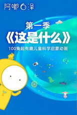 这是什么 第二季 poster