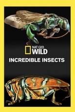 Poster for Incredible Insects 