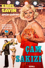 Çam Sakızı poster movie