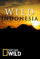 Poster for Wild Indonesia Season 1