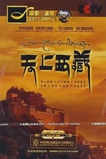 天上西藏 poster