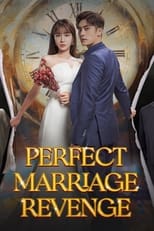 Poster for Perfect Marriage Revenge Season 1