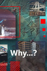 Why...? poster