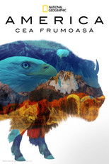 America the Beautiful