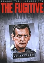 Poster for The Fugitive Season 2