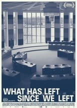 Poster for What has left since we left