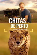 Cheetahs Up Close with Bertie Gregory