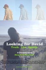 Poster for Looking for David