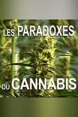 Poster for Les paradoxes du cannabis