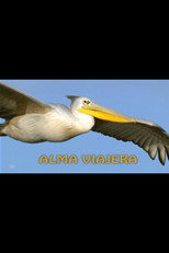 Alma viajera poster