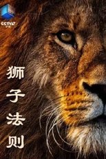 狮子法则 (2019)