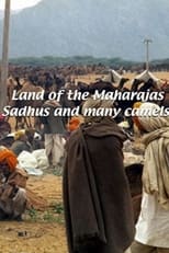 Poster for Land of the Maharajahs 