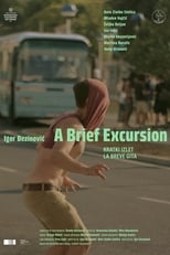 Poster for A Brief Excursion