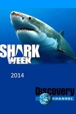 Poster for Shark Week Season 27