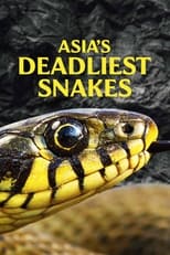 Poster for Asia's Deadliest Snakes 