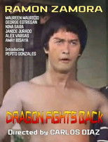 Dragon Fights Back poster
